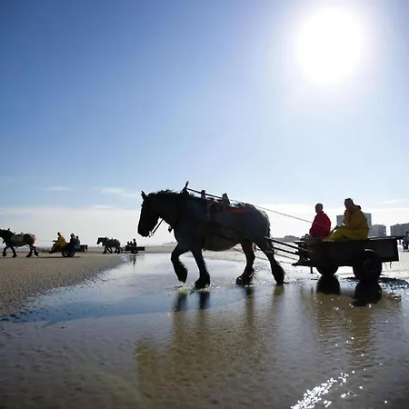 In Nieuwpoort Near The Beach, Cleaning Included * Koksijde